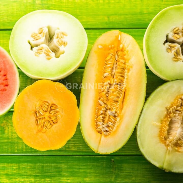 Melon vert, blanc, jaune, orange, Mélange 4 variétés minimums image